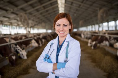 Günlük çiftliğinde duran kadın veteriner doktor, tarım endüstrisi..