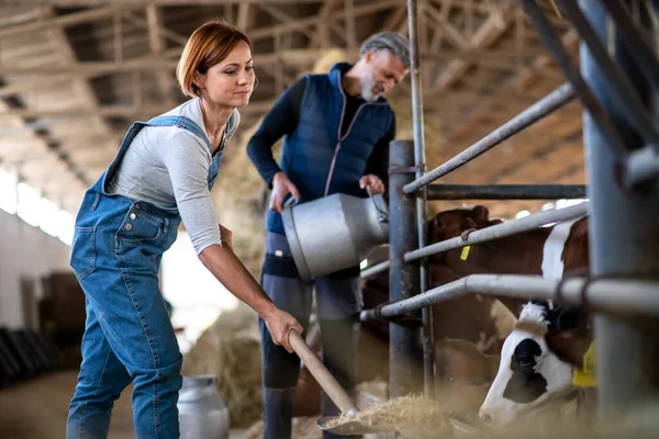 Lavoratrici e lavoratrici che lavorano nell'azienda agricola, nell'industria agricola . — Foto Stock