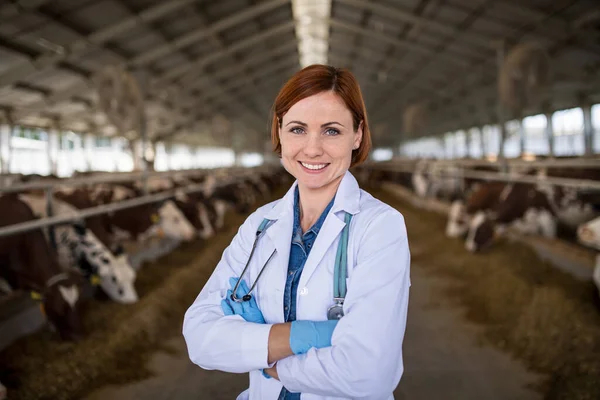 Žena veterinární lékař stojící na farmě deníku, zemědělství průmyslu. — Stock fotografie