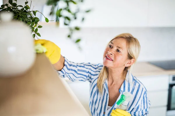 Portrait of senior woman cleaning shelves indoors at home. — Stock Photo, Image