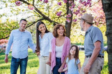 Three generation family on a walk outside in spring nature. clipart