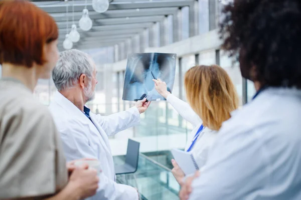 Grupo de médicos falando sobre o vírus corona na conferência, midsection . — Fotografia de Stock