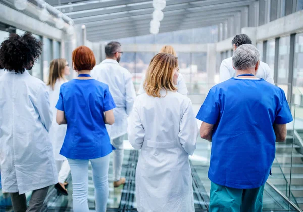 Rückansicht einer Gruppe von Ärzten, die auf der Konferenz im Korridor gehen. — Stockfoto