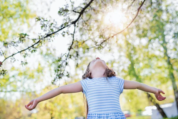 Liten flicka som står ute i vårnaturen och tittar upp. Kopiera utrymme. — Stockfoto