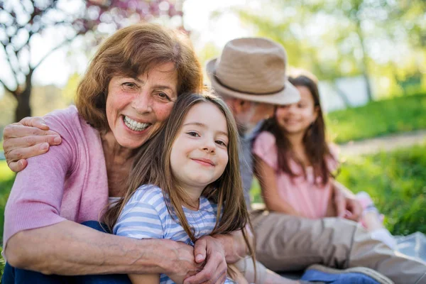 Ältere Großeltern mit Enkelinnen sitzen draußen in der Frühlingsnatur. — Stockfoto