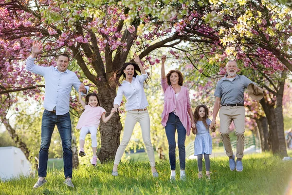 Família de três gerações em um passeio fora na natureza de primavera, pulando . — Fotografia de Stock