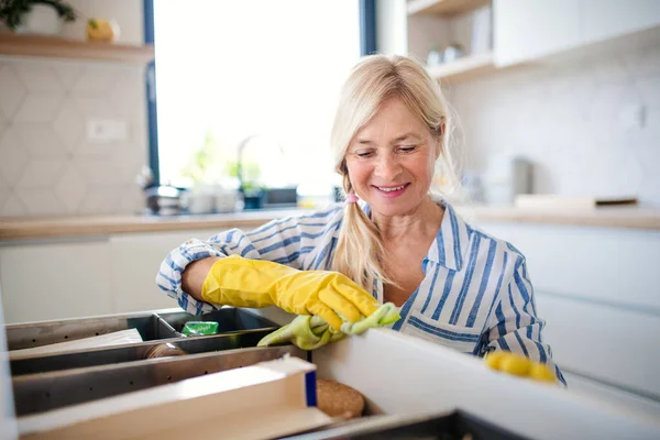 Portrait of senior woman cleaning kitchen cabinet doors indoors at home. — Stock Photo, Image