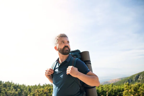 Mature man with backpack hiking in mountains in summer. — Zdjęcie stockowe