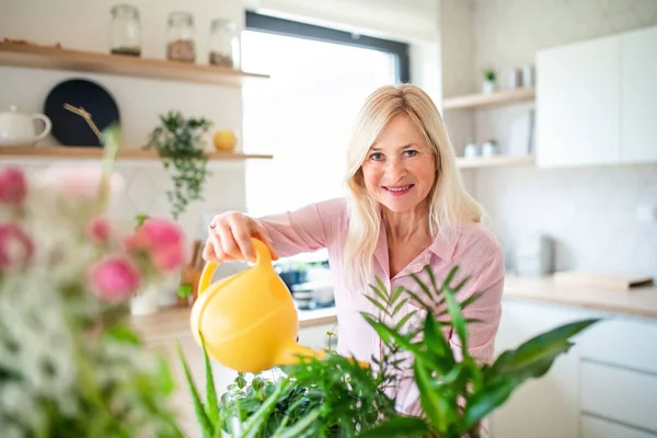 Retrato de mujeres mayores regando plantas en el interior de casa . — Foto de Stock