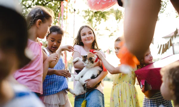 Small children outdoors in garden in summer, holding present pet cat. — Stock Photo, Image