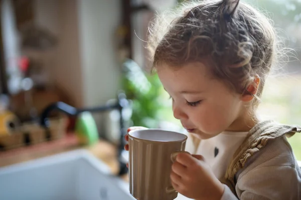 Schattig klein peuter meisje zitten op het aanrecht binnen thuis, het drinken van thee. — Stockfoto