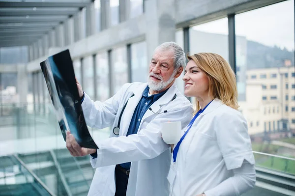 Ärzte betrachten Röntgenbild auf medizinischer Konferenz und diskutieren Fragen. — Stockfoto