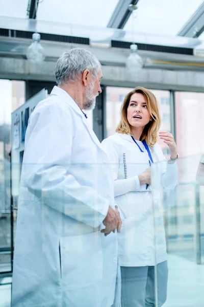 Junge und alte Ärzte diskutieren auf Ärztekonferenz. — Stockfoto