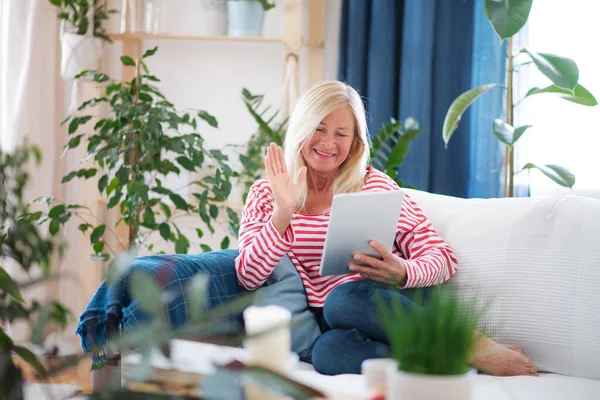 Attraktiv äldre kvinna med surfplatta sitter inomhus på soffan, video samtal koncept. — Stockfoto