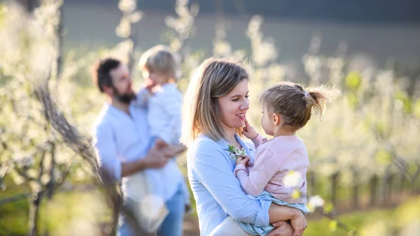 Familia con dos niños pequeños parados al aire libre en huerto en primavera . — Foto de Stock