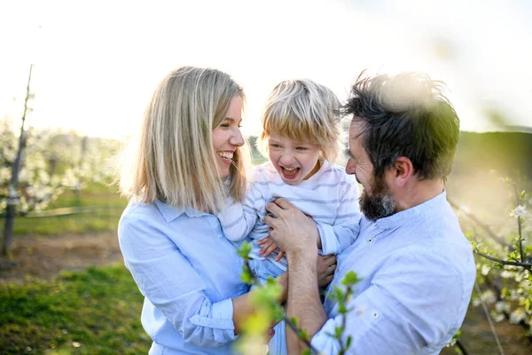 Familia con hijo pequeño de pie al aire libre en el huerto en primavera, riendo . — Foto de Stock