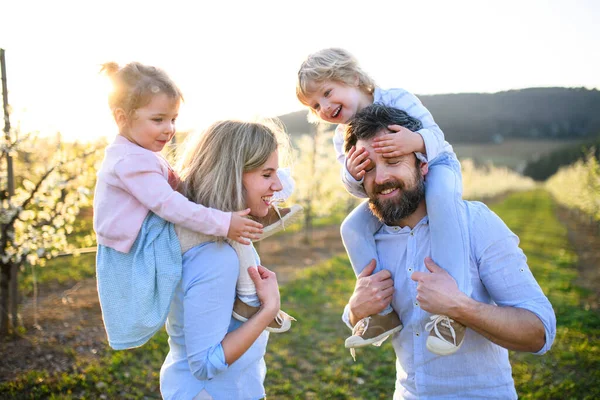 Famiglia con due bambini piccoli in piedi all'aperto nel frutteto in primavera . — Foto Stock