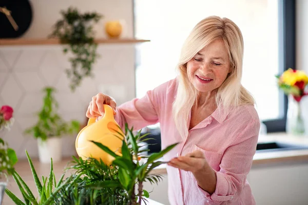 Retrato de mujeres mayores regando plantas en el interior de casa . — Foto de Stock