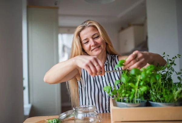 Vooraanzicht portret van vrouw binnen thuis, snijden kruiden. — Stockfoto