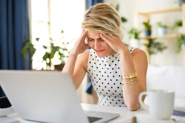 Frustrovaná mladá podnikatelka s notebookem v domácí kanceláři, pracující. — Stock fotografie