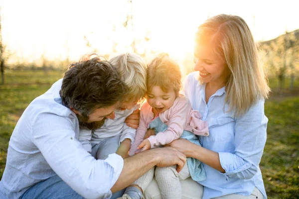 Familie mit zwei kleinen Kindern sitzt draußen im Obstgarten im Frühling bei Sonnenuntergang. — Stockfoto