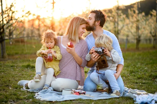 Família com duas crianças pequenas fazendo piquenique ao ar livre na natureza primavera ao pôr do sol . — Fotografia de Stock