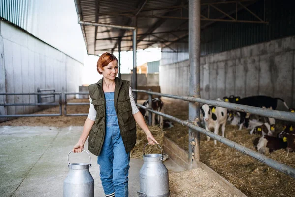 Arbeiterin mit Konservendosen arbeitet auf Bauernhof, Landwirtschaft. — Stockfoto