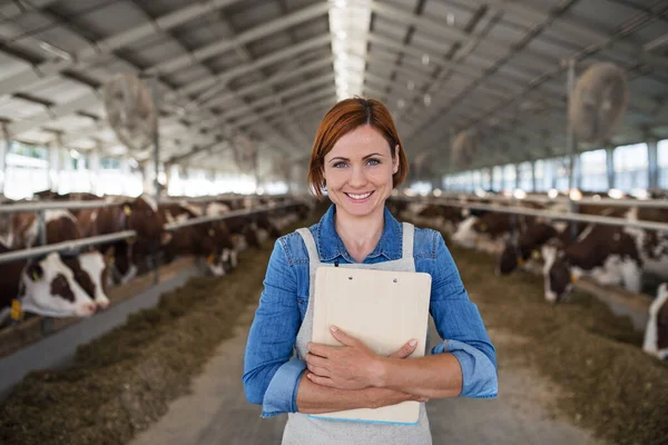 Kobieta menadżer stojąca w gospodarstwie rolnym, rolnictwo. — Zdjęcie stockowe