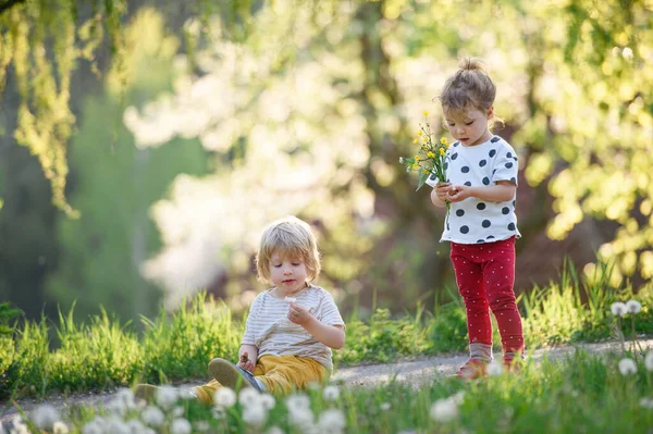 小さな子供の男の子と女の子は春の自然の中で屋外で遊ぶ. — ストック写真