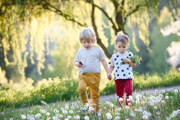 小さな子供の男の子と女の子は春の自然の中で屋外に歩く. — ストック写真