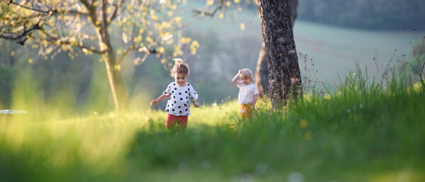 Small children boy and girl playing outdoors in spring nature.