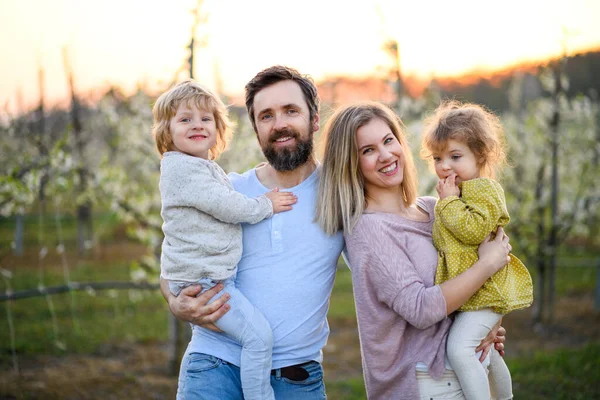 Keluarga dengan dua anak kecil berdiri di luar rumah di kebun buah pada musim semi. — Stok Foto