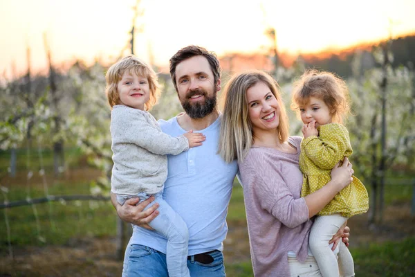 Familia con dos niños pequeños parados al aire libre en huerto en primavera . — Foto de Stock