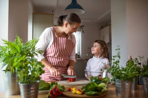 Small girl with senior grandmother in kitchen indoors at home, preparing food. — Stock Photo, Image