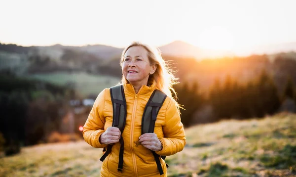 Aantrekkelijke oudere vrouw wandelen in de natuur bij zonsondergang, wandelen. — Stockfoto