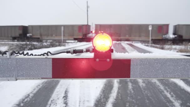 Surrey, Canadá - Feb 5, 2020: BNSF tren de carga y señal, nevadas de invierno — Vídeos de Stock