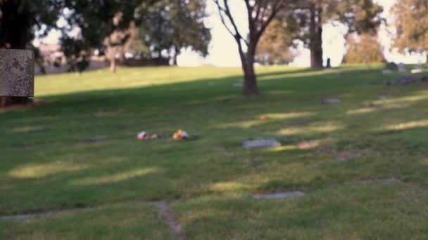 Surrey, Kanada - 21. února 2020: Staré náhrobní kameny v historickém hřbitově Surrey Centre — Stock video