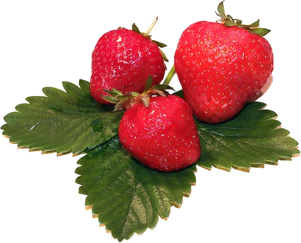 Fragole fresche durante estate — Foto Stock