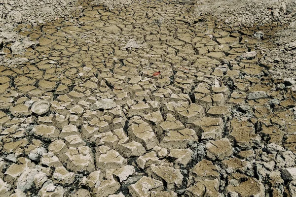 Drought Ground Ecology Environment — Stock Photo, Image