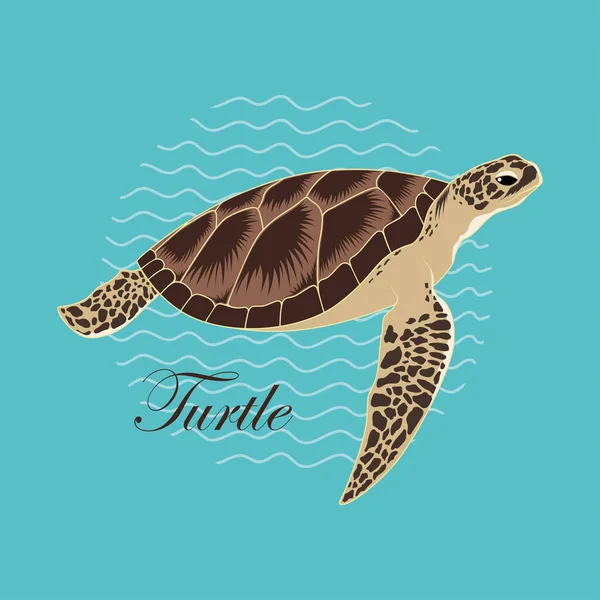 Imagen Vectorial Una Tortuga Marina Tortuga Está Nadando Bajo Agua — Archivo Imágenes Vectoriales