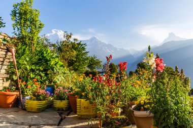 Şaşırtıcı sabah görünümü 