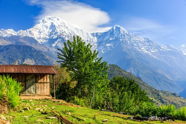 Prachtig uitzicht van de ochtend — Stockfoto