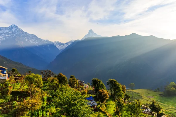 Amazing early morning view — Stock Photo, Image