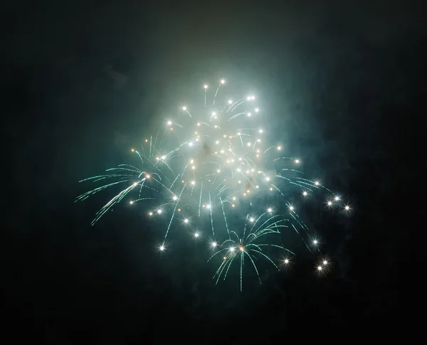 Fuochi d'artificio meravigliosi di notte — Foto Stock