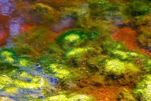 Belle réflexion abstraite colorée de l'eau — Photo