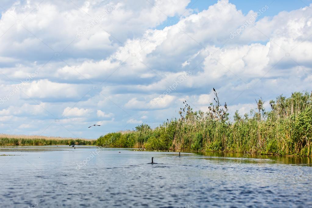 Landscape photo of Danube Delta 