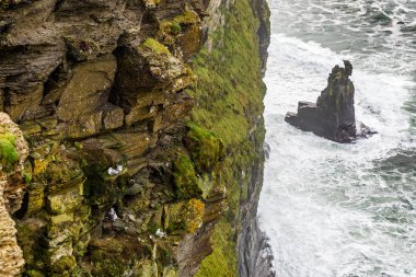 Moher Kayalıkları