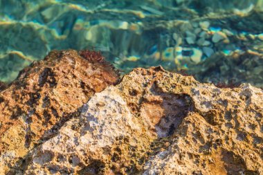 Kayalık Adriyatik sahil