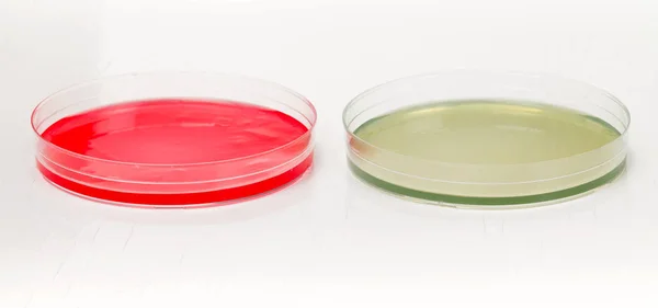 Petri dishes for medical research — Stock Photo, Image