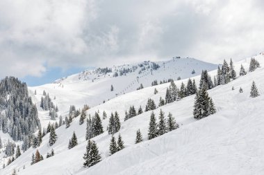 Alpleri'nde kış manzarası